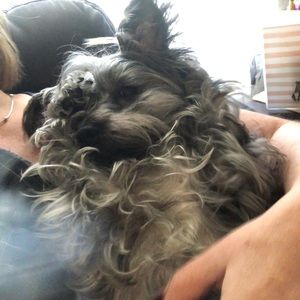 Meet your Posher, Lisa